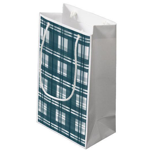 Vrolijk & helder | Achternaam | Plaid Mint Green Klein Cadeauzakje (Achterkant Gekanteld)