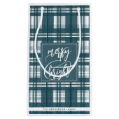 Vrolijk & helder | Achternaam | Plaid Mint Green Klein Cadeauzakje (Voorkant)