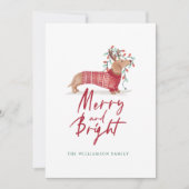 Vrolijk & helder | Dachshund Kersttrui Feestdagenkaart (Voorkant)