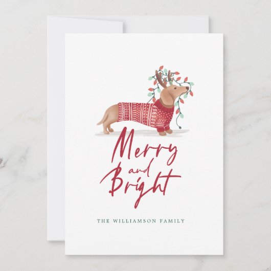 Vrolijk & helder | Dachshund Kersttrui Feestdagenkaart (Voorkant)