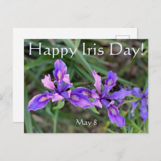Vrolijk Iris Dag. Briefkaart (Voorkant / Achterkant)