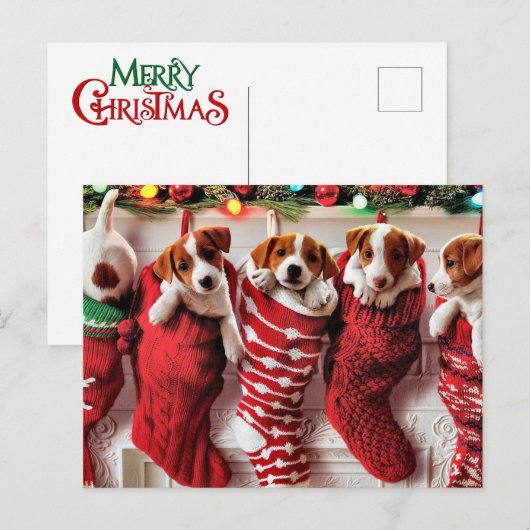 Vrolijk Kerst puppies briefkaart (Voorkant / Achterkant)