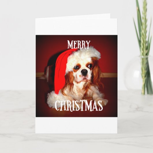 vrolijk kerst santa hol feestdagen kaart (Voorkant)