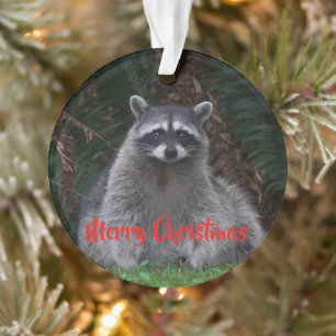 Vrolijk Kerst Schattige Bos Raccoon Ornament