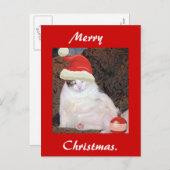 Vrolijk kerstbriefkaart feestdagenkaart (Voorkant / Achterkant)