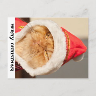 Vrolijk kerstcadeat feestdagenkaart