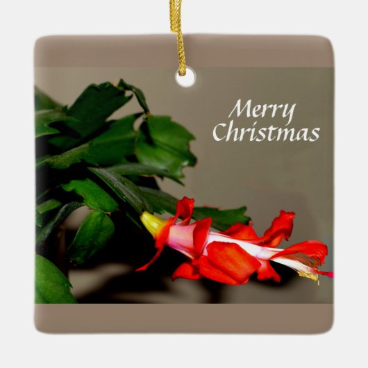 Vrolijk kerstcadeau keramisch ornament (Voorkant)