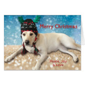 Vrolijk kerstcadeaulaboratorium met geweien (Voorkant Horizontaal)