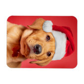 Vrolijk kerstcadeautje Labrador Puppy in Santa Hat Magneet (Horizontaal)
