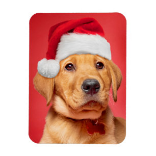 Vrolijk kerstcadeautje Labrador Puppy in Santa Hat Magneet