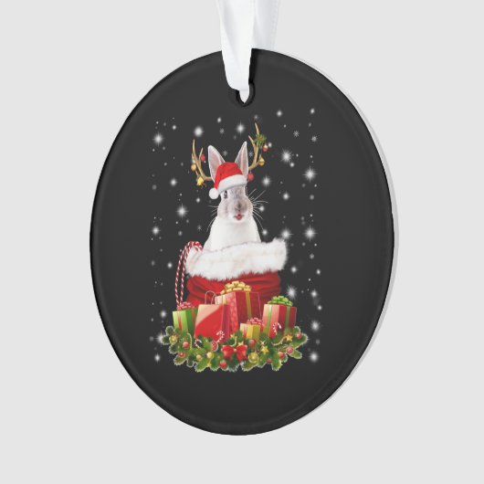 Vrolijk kerstcadeautje voor Bunny Lover Ornament (voorkant)