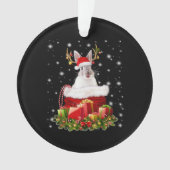 Vrolijk kerstcadeautje voor Bunny Lover Ornament (voorkant)