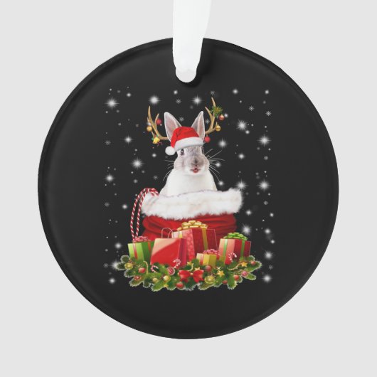 Vrolijk kerstcadeautje voor Bunny Lover Ornament (voorkant)