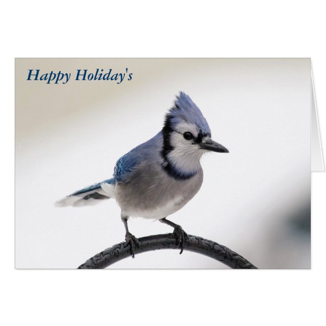 Vrolijk kerstfeest (Voorkant Horizontaal)