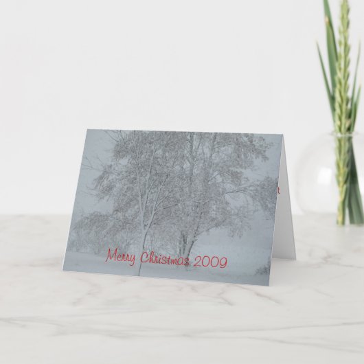 Vrolijk kerstfeest 2009 feestdagen kaart (Voorkant)