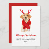 Vrolijk kerstfeest 2020 Labrador Puppy in red scar Aankondiging (Voorkant / Achterkant)