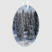 Vrolijk kerstfeest Aangepaste foto's en tekst Ornament (voorkant)