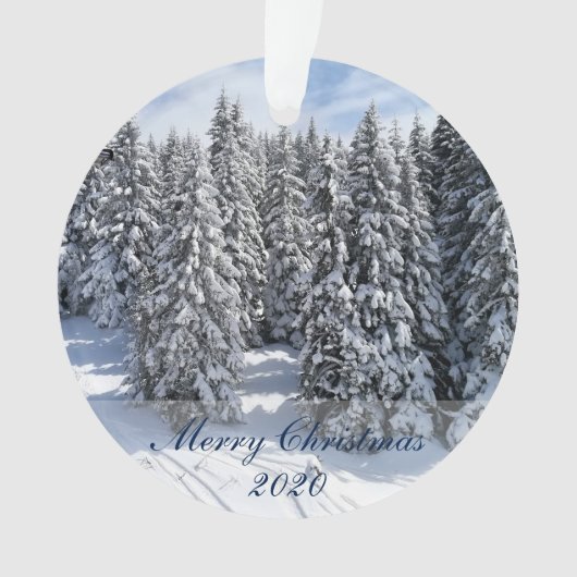 Vrolijk kerstfeest Aangepaste foto's en tekst Ornament (voorkant)