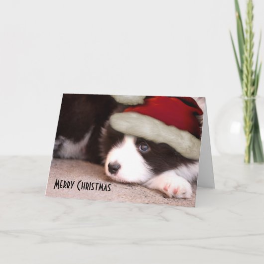 Vrolijk Kerstfeest Baby Border Collie - Santa hat Feestdagen Kaart (Voorkant)