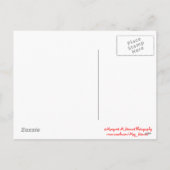 Vrolijk Kerstfeest Baby Chipmunks Briefkaart (Achterkant)