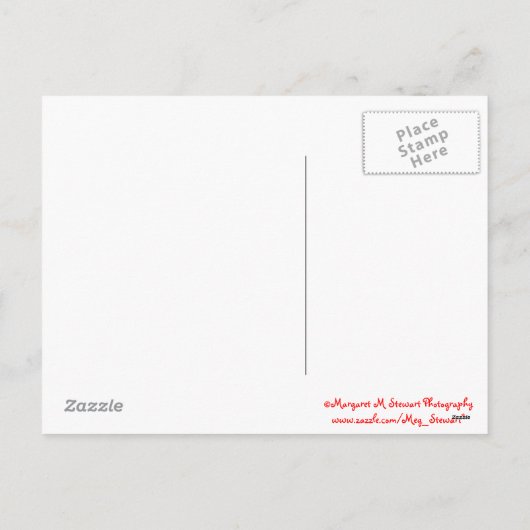 Vrolijk Kerstfeest Baby Chipmunks Briefkaart (Achterkant)