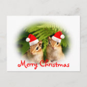 Vrolijk Kerstfeest Baby Chipmunks Briefkaart (Voorkant)