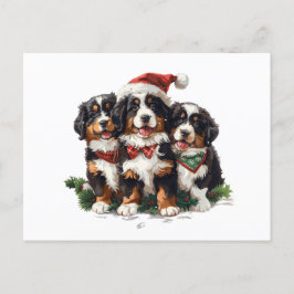 Vrolijk Kerstfeest Berner Sennenhonden Briefkaart