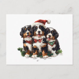 Vrolijk Kerstfeest Berner Sennenhonden Briefkaart