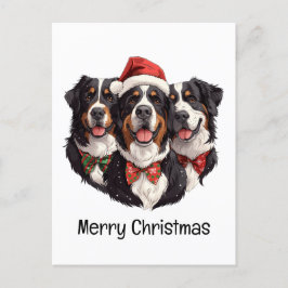 Vrolijk Kerstfeest Berner Sennenhonden Briefkaart