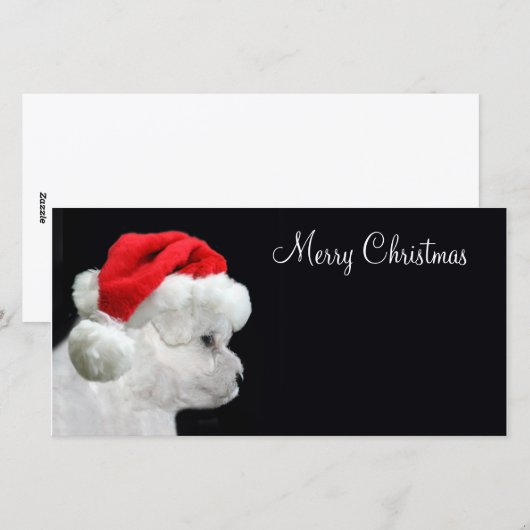 Vrolijk kerstfeest Bichon Frise Feestdagenkaart (Voorkant / Achterkant)