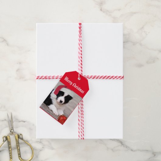 Vrolijk kerstfeest - Border Collie label Cadeaulabel (Met Touw)