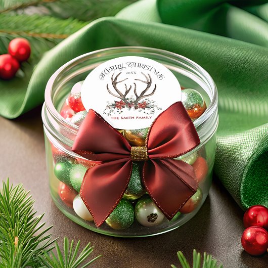 Vrolijk Kerstfeest Botanisch Ronde Sticker