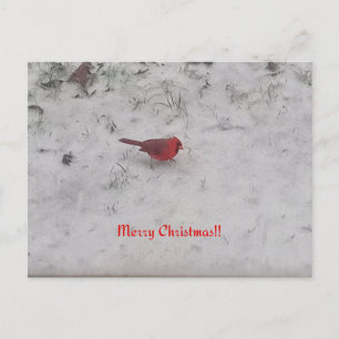 Vrolijk kerstfeest! Briefkaart