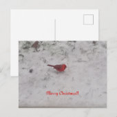 Vrolijk kerstfeest! Briefkaart (Voorkant / Achterkant)