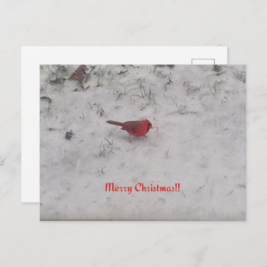 Vrolijk kerstfeest! Briefkaart (Voorkant / Achterkant)