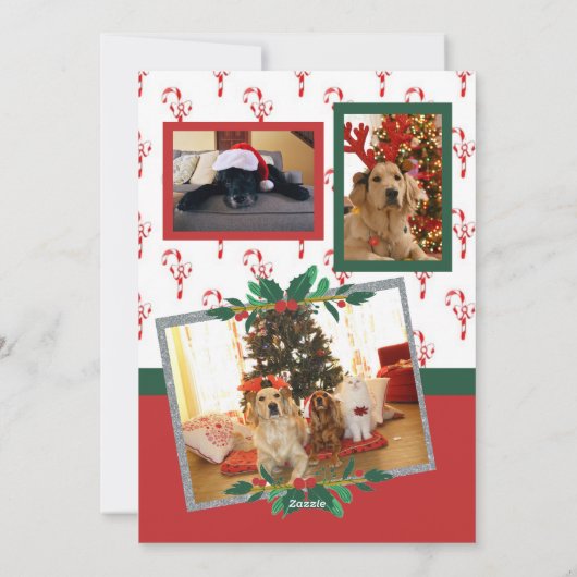 Vrolijk Kerstfeest Candy Cane Bows Foto Vakantie K Feestdagenkaart (Achterkant)