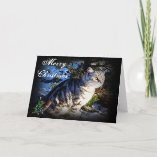 Vrolijk kerstfeest - Cat wenskaart Feestdagen Kaart