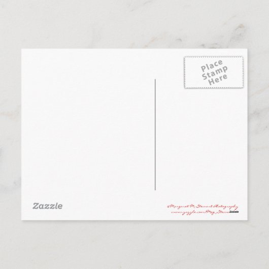 Vrolijk kerstfeest Chickadees Briefkaart (Achterkant)