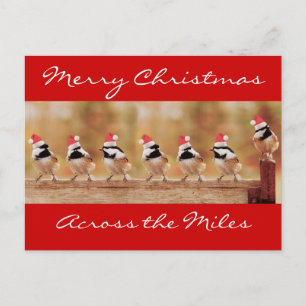 Vrolijk kerstfeest Chickadees Briefkaart