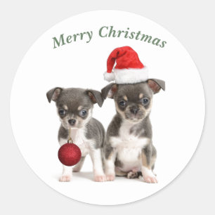 Vrolijk kerstfeest Chihuahua Puppies Ronde Sticker