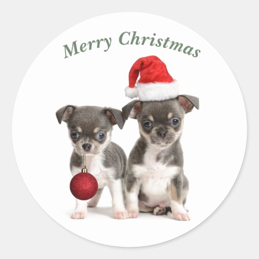 Vrolijk kerstfeest Chihuahua Puppies Ronde Sticker (Voorkant)