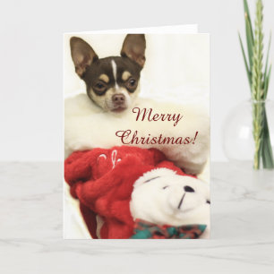 Vrolijk kerstfeest Chihuahua wenskaart Feestdagen Kaart