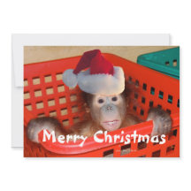 Vrolijk kerstfeest Creëer je eigen boodschap