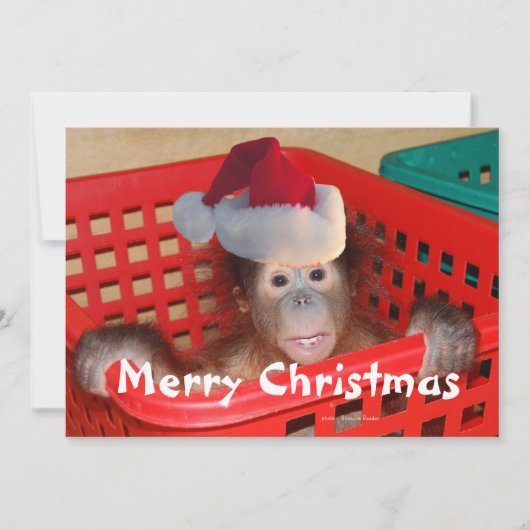 Vrolijk kerstfeest Creëer je eigen boodschap Kaart (Voorkant)