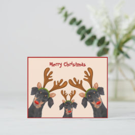 Vrolijk kerstfeest Dachshund Reindeer Red Dogwent Feestdagenkaart