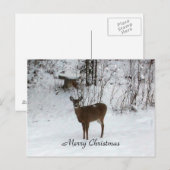 Vrolijk kerstfeest Deer Feestdagenkaart (Voorkant / Achterkant)
