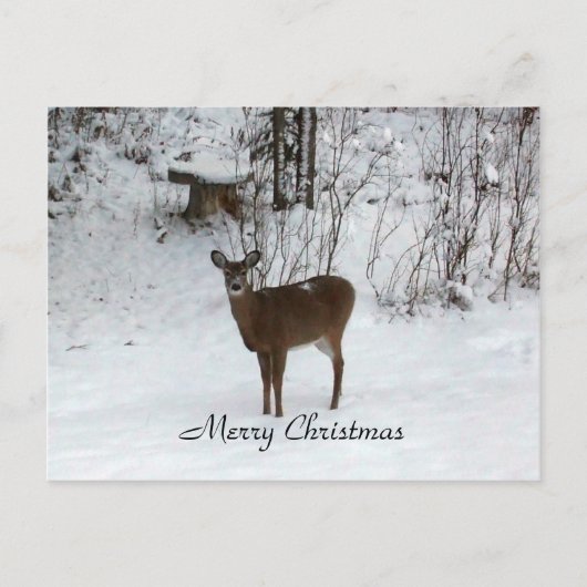 Vrolijk kerstfeest Deer Feestdagenkaart (Voorkant)