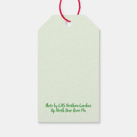 vrolijk kerstfeest! 'Dit is het seizoen!' Cadeaulabel (Achterkant)