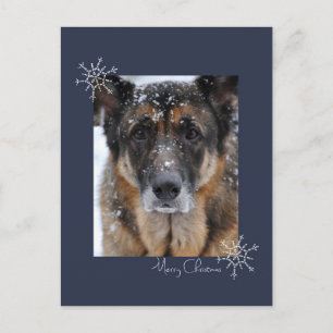 Vrolijk kerstfeest Duitse herder in Briefkaart
