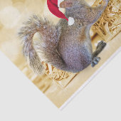 Vrolijk Kerstfeest Eekhoorn in Santa Hoed & Gesche Tissuepapier (Detail)
